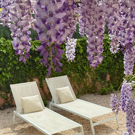 Bakea Apto Con Jardin Privado Bakio Exteriér fotografie