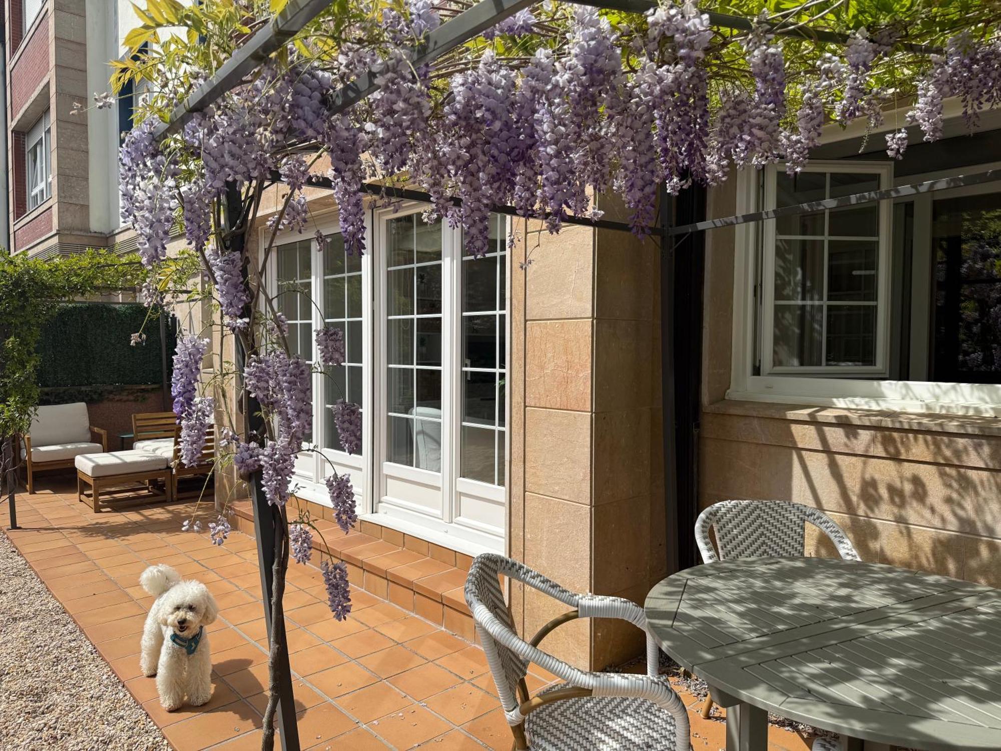 Bakea Apto Con Jardin Privado Bakio Exteriér fotografie