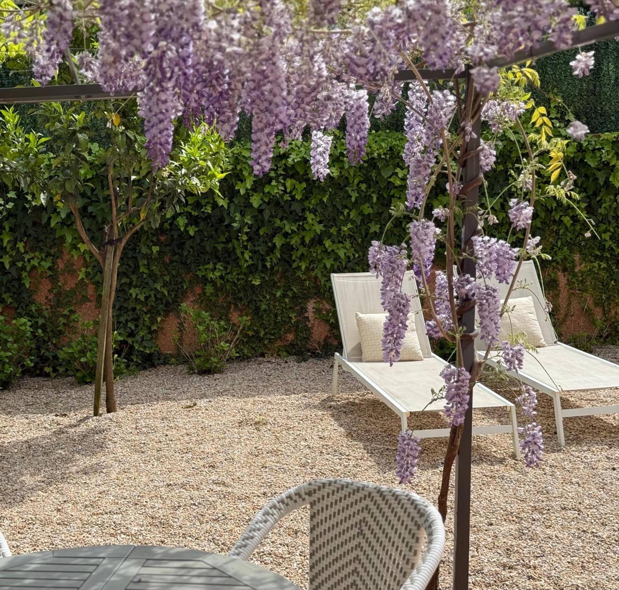 Bakea Apto Con Jardin Privado Bakio Exteriér fotografie